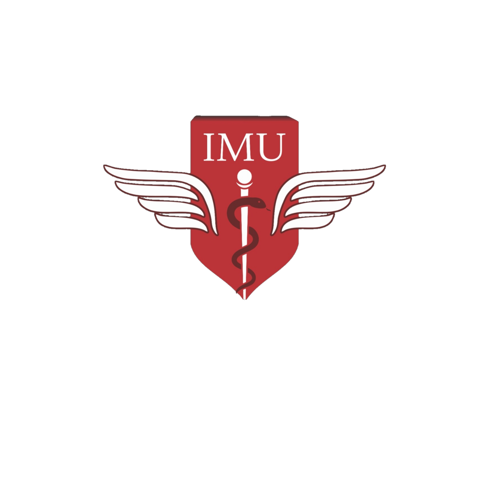 Logo IMU